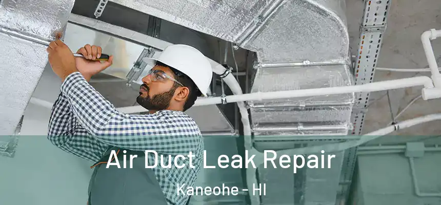  Air Duct Leak Repair Kaneohe - HI