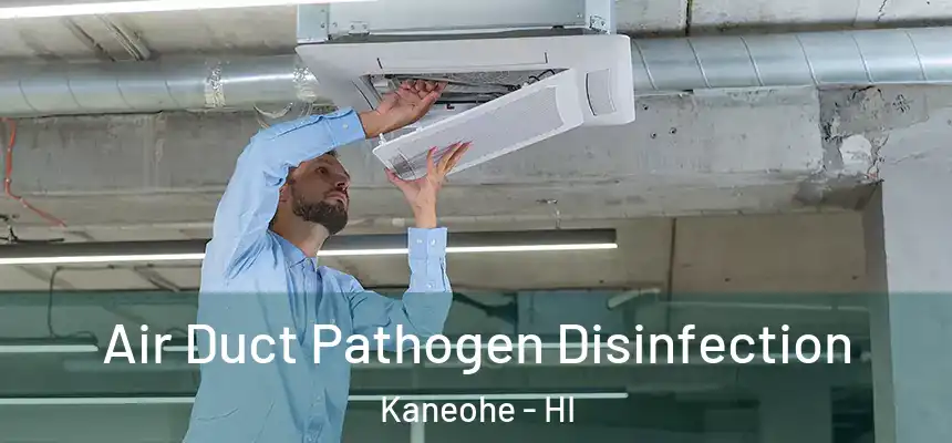  Air Duct Pathogen Disinfection Kaneohe - HI