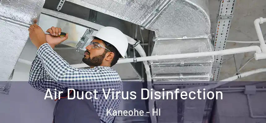 Air Duct Virus Disinfection Kaneohe - HI