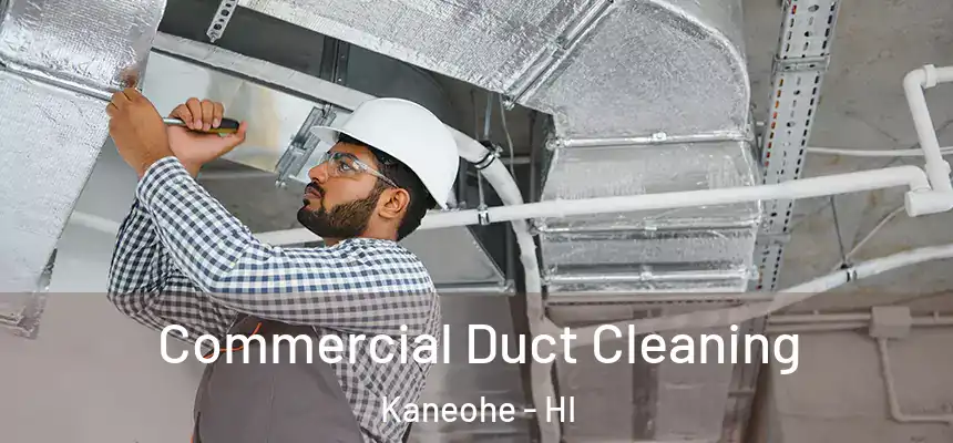  Commercial Duct Cleaning Kaneohe - HI