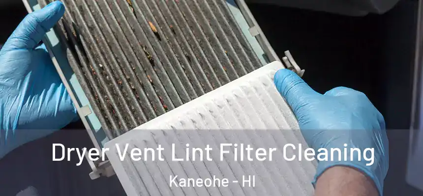 Dryer Vent Lint Filter Cleaning Kaneohe - HI