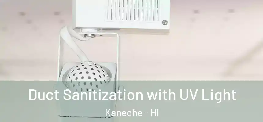  Duct Sanitization with UV Light Kaneohe - HI