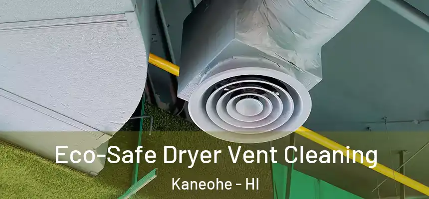 Eco-Safe Dryer Vent Cleaning Kaneohe - HI