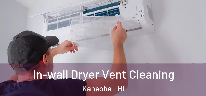  In-wall Dryer Vent Cleaning Kaneohe - HI