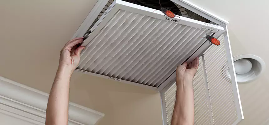 Preventive Cockroach-Proofing for Ducts in Kaneohe