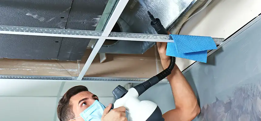 Our Air Duct Rodent Removal Services in Kaneohe, HI