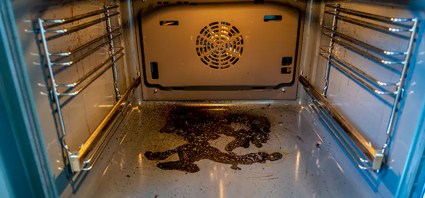 Our Dryer Vent Mold Cleaning Services in Kaneohe, HI