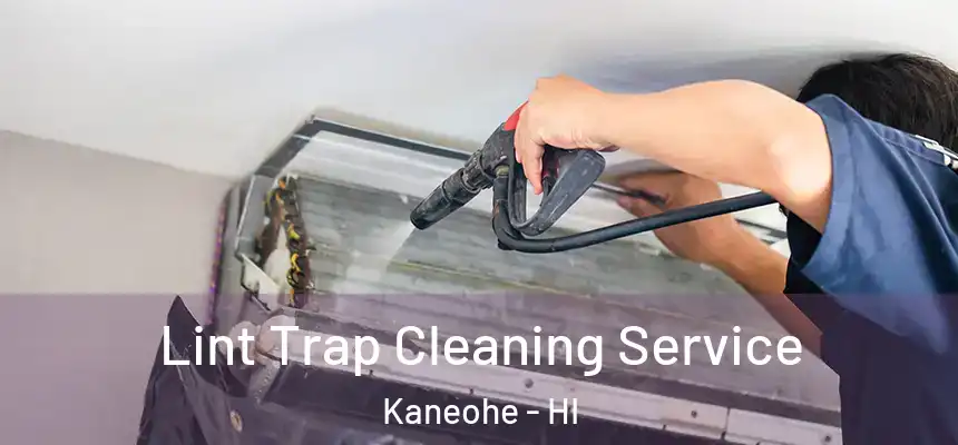  Lint Trap Cleaning Service Kaneohe - HI