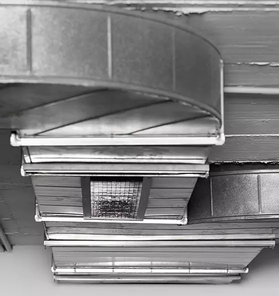 Professional Air Duct Pest Removal in Kaneohe, HI