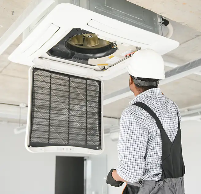 Why Homeowners & Businesses Trust Us in Kaneohe, HI?