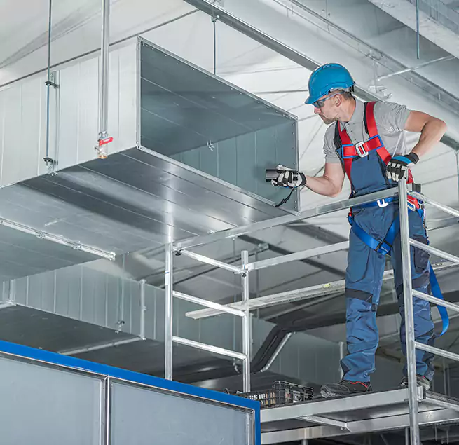 Why Homeowners & Businesses Trust Us in Kaneohe, HI?