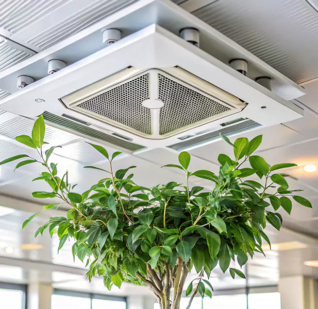 Why Homeowners & Businesses Trust Us in Kaneohe, HI