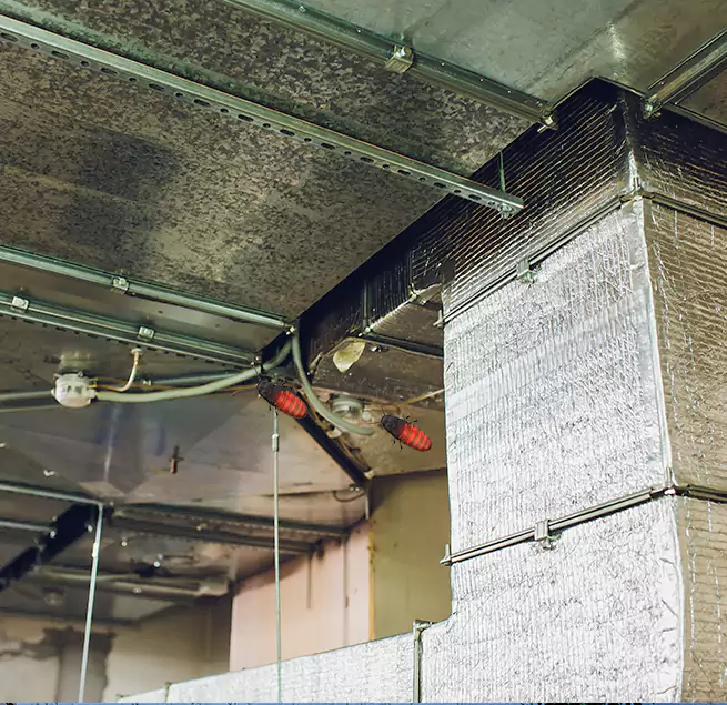 Why Homeowners & Businesses Trust Us Kaneohe, HI?