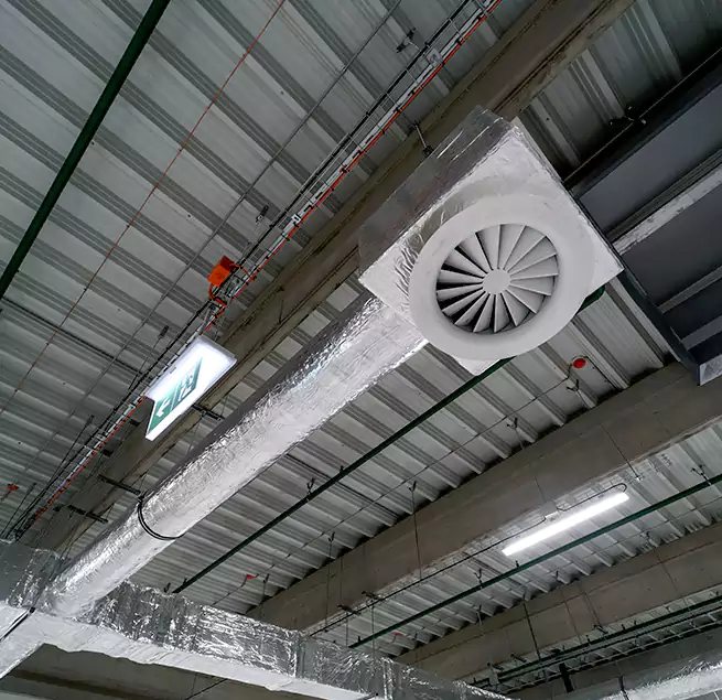 Why Homeowners & Businesses Trust Us in Kaneohe, HI?