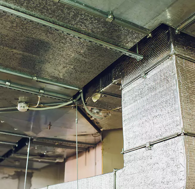 Why Homeowners & Businesses Trust Us in Kaneohe, HI?