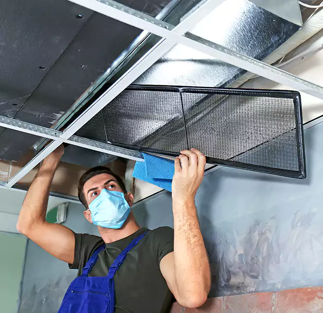 Why Homeowners Businesses Trust Us in Kaneohe, HI