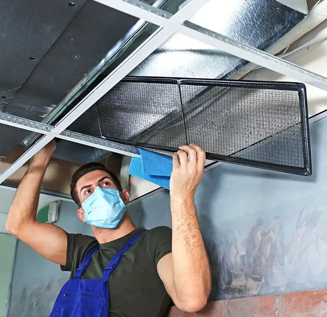 Why Homeowners & Businesses Trust Us in Kaneohe, HI?