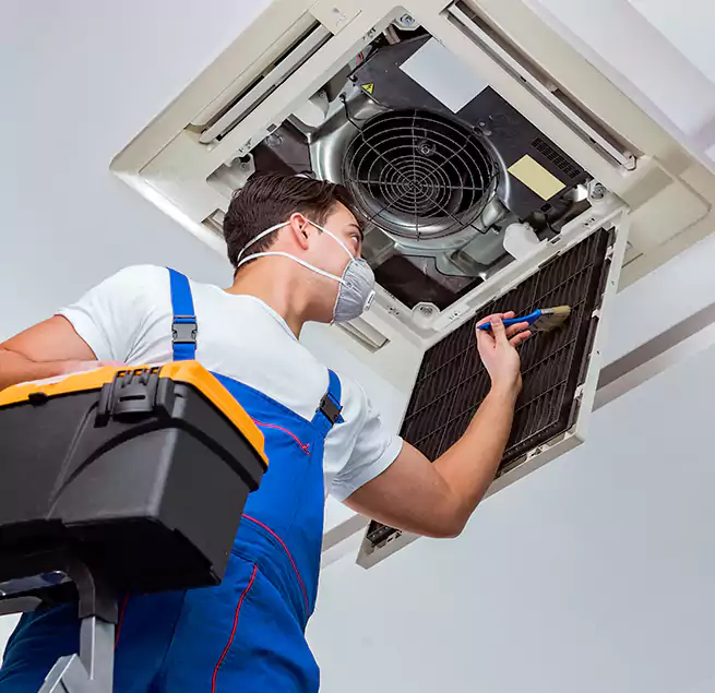 Why Homeowners & Businesses Trust Us in Kaneohe, HI?