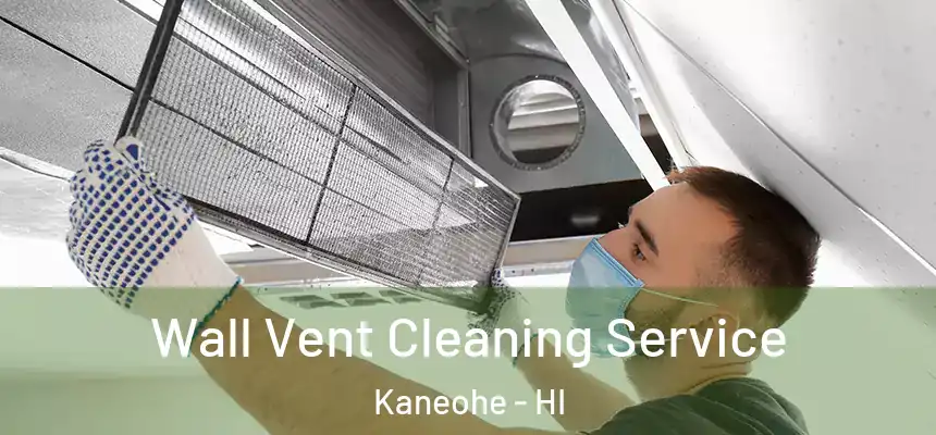  Wall Vent Cleaning Service Kaneohe - HI